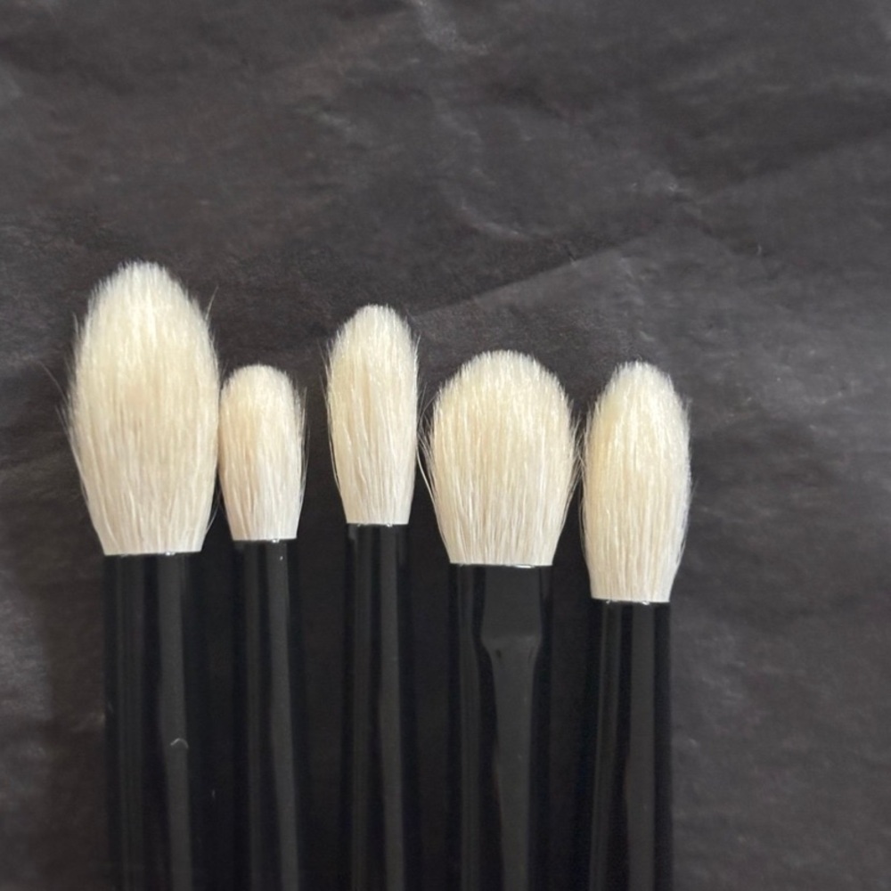 WAYNE GOSS - The Eye Set - Brushes 16 - 20 NWOB - Picture 5 of 7